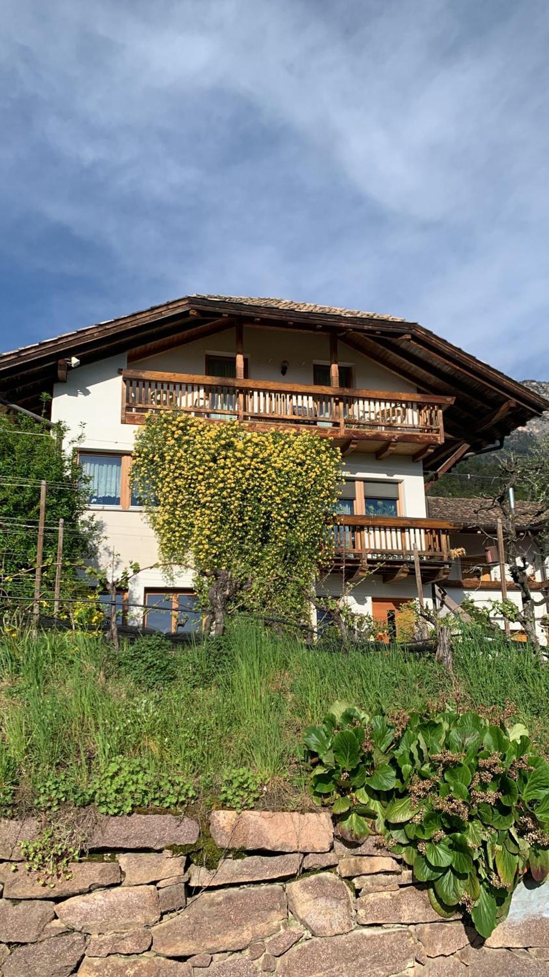 Gfillhof Ferienwohnung 1 Appiano Sulla Strada Del Vino Eksteriør bilde